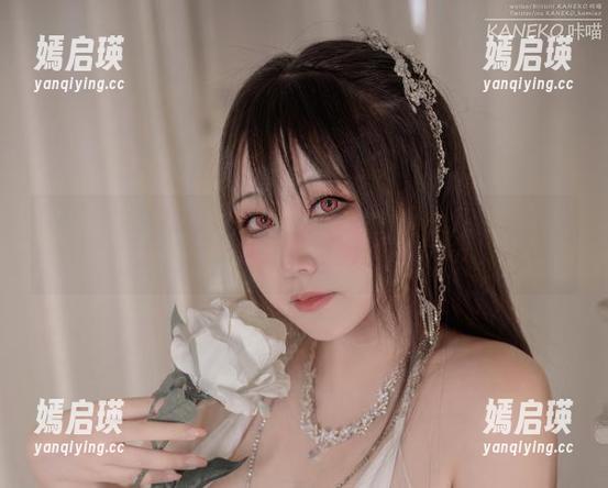 KANEKO_咔喵的异铁搜查官日常：写真集里的奇妙瞬间，原图等你捧回家！