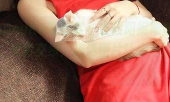 QingDouKe青豆客 – 在欧阳妮娜娜的浴室里，光影交织：精选图片让你心跳加速！
